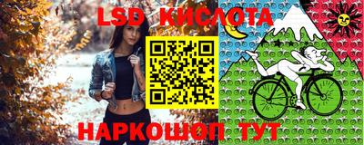 дмт Канаш