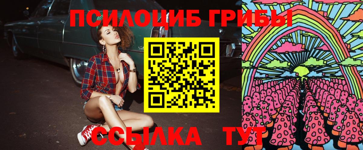 Псилоцибиновые грибы мухоморы Дербент