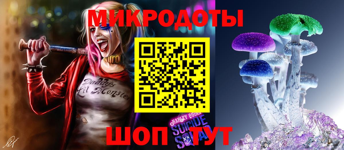 Галлюциногенные грибы мицелий  Галлюциногенные грибы Psilocybine cubensis  Вход с VPN  купить наркоту  Дербент 