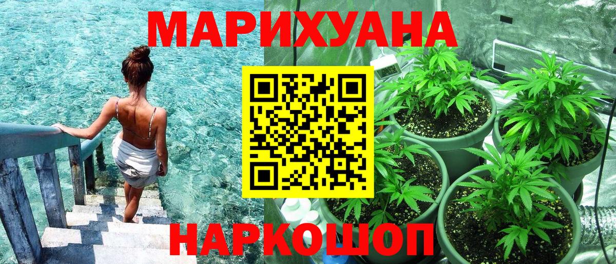 Конопля сатива Дербент